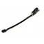 Dever Ascot Rolled Lip Strap Black